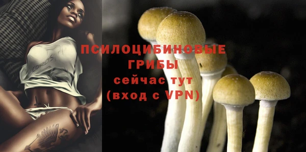 spice Куйбышев