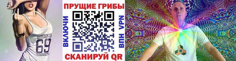 где купить   Дятьково  Псилоцибиновые грибы Magic Shrooms 