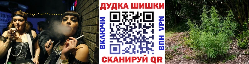 Шишки марихуана план где продают наркотики Дятьково